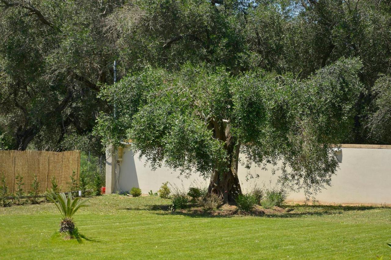 La Casa Del Sole Βίλα Χαλικούνας Εξωτερικό φωτογραφία